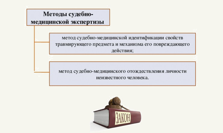Методы судебно-медицинской экспертизы